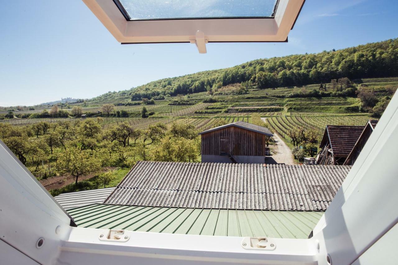 Weingut Jakob'S Ruhezeit Mautern Exteriör bild